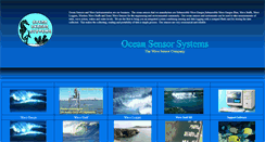 Desktop Screenshot of oceansensorsystems.com